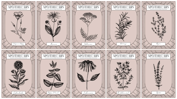 Apothecary labels set. Healing plants and medicinal herbs sketches. Art nouveua, adt deco, retro style. Vintage frame design templates. NOT AI generated
